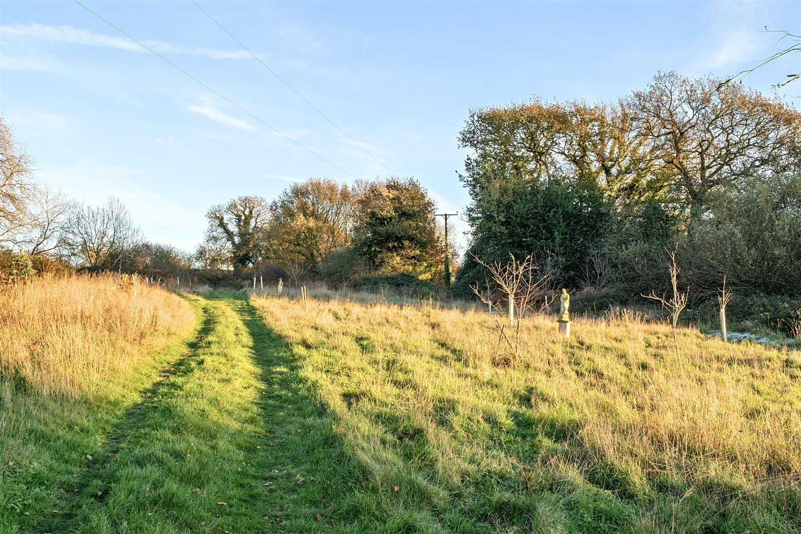 Property Image b9f28eeb-5070-44fd-9640-c28b4303c981