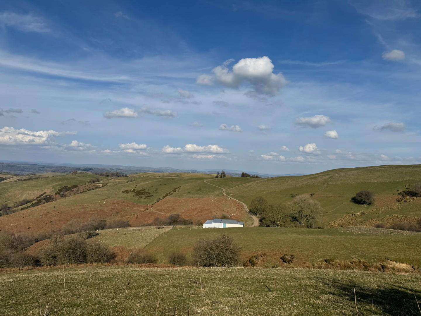 Property Image ba240b04-ecf9-4262-a214-a97b8e8f77db