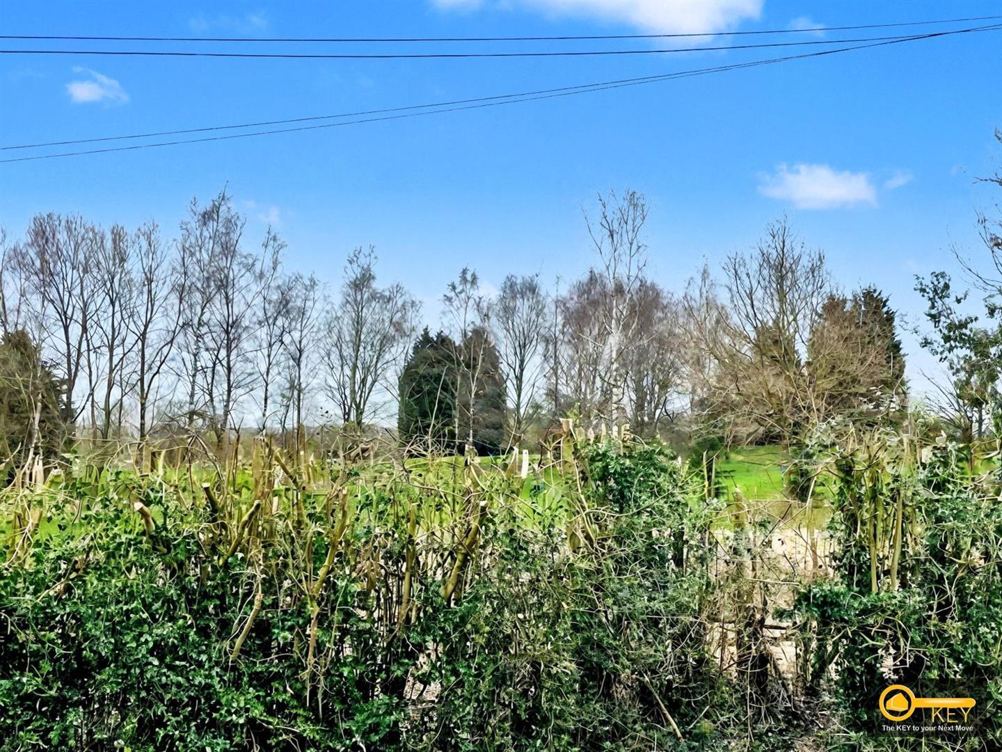 Image 15