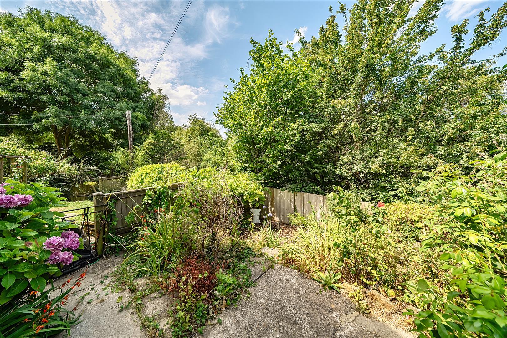 Property Image ba552168-8d61-4066-bd2f-0bdb13ff54b5