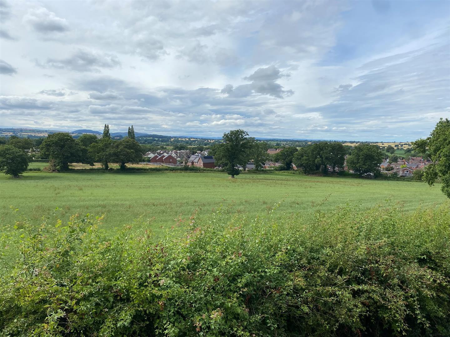 Property Image ba7cb333-33e6-44e5-8f61-0607c1835e3f