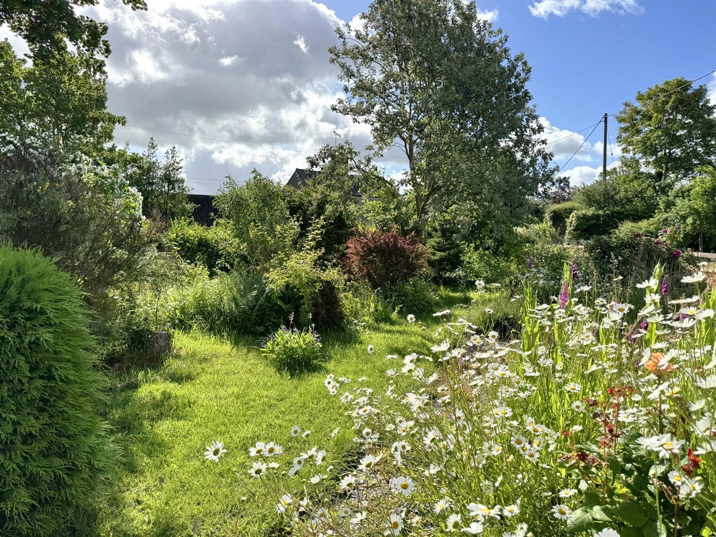 Property Image bac30bbc-cc7a-4b70-ada0-2f33086f7ce7