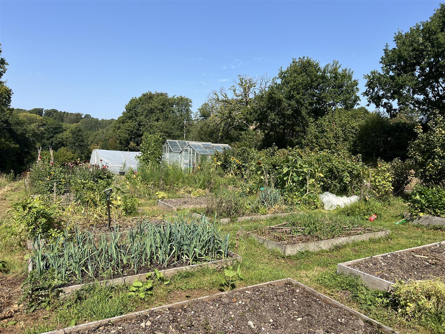 Property Image bb390322-d890-43fb-9fe1-61b27cfc121a