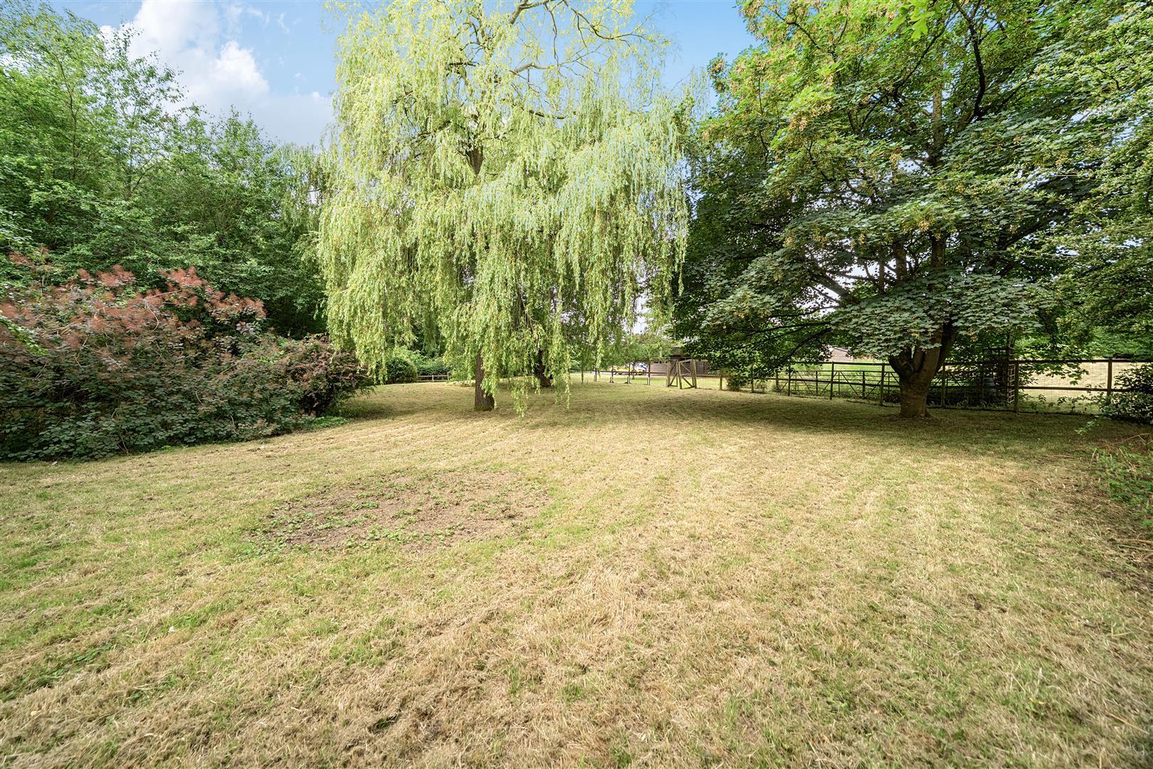 Property Image bb3f55eb-71aa-4b8b-ad5d-39336d1c5fdf
