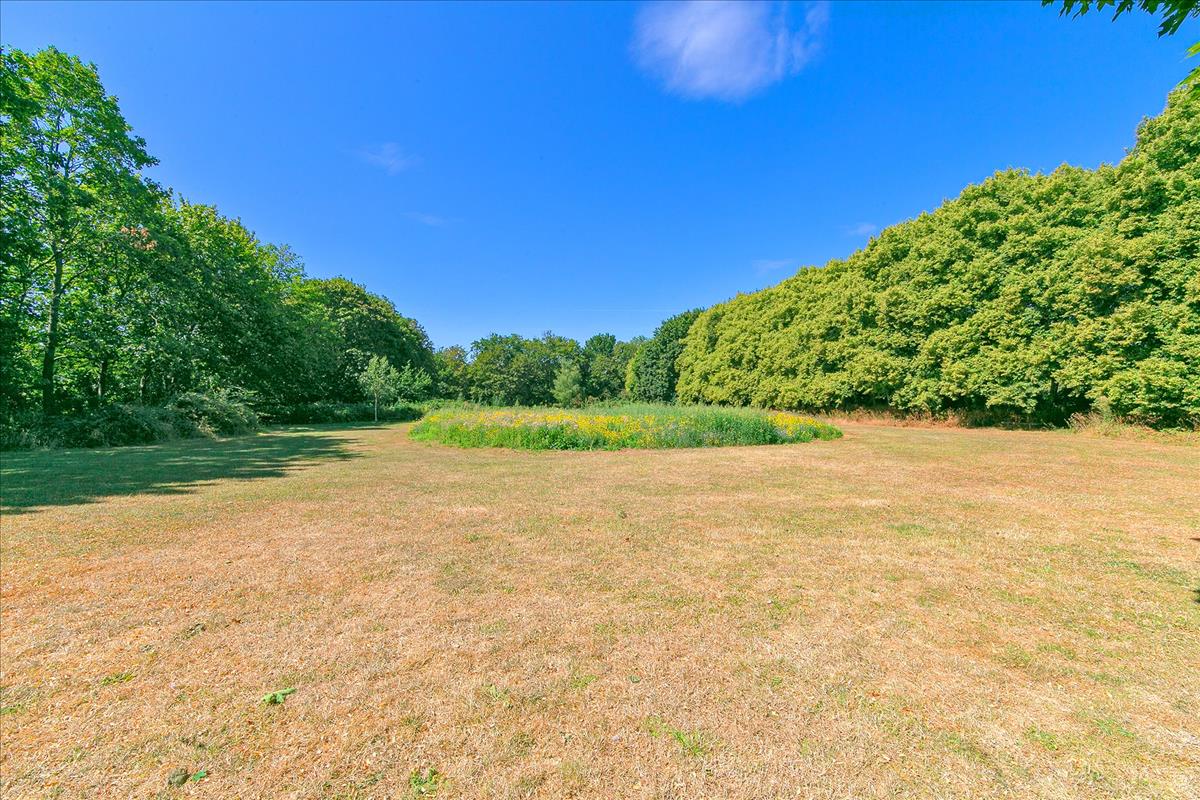 Property Image bb5dd4ea-7560-48cf-9d39-bf5ded96d976