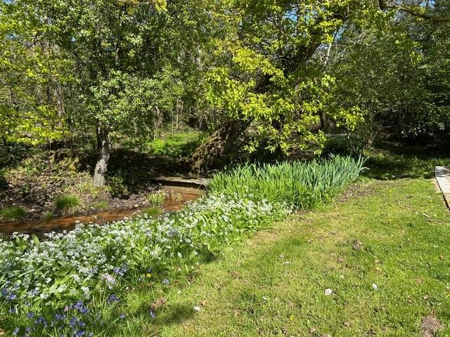 Image 27
