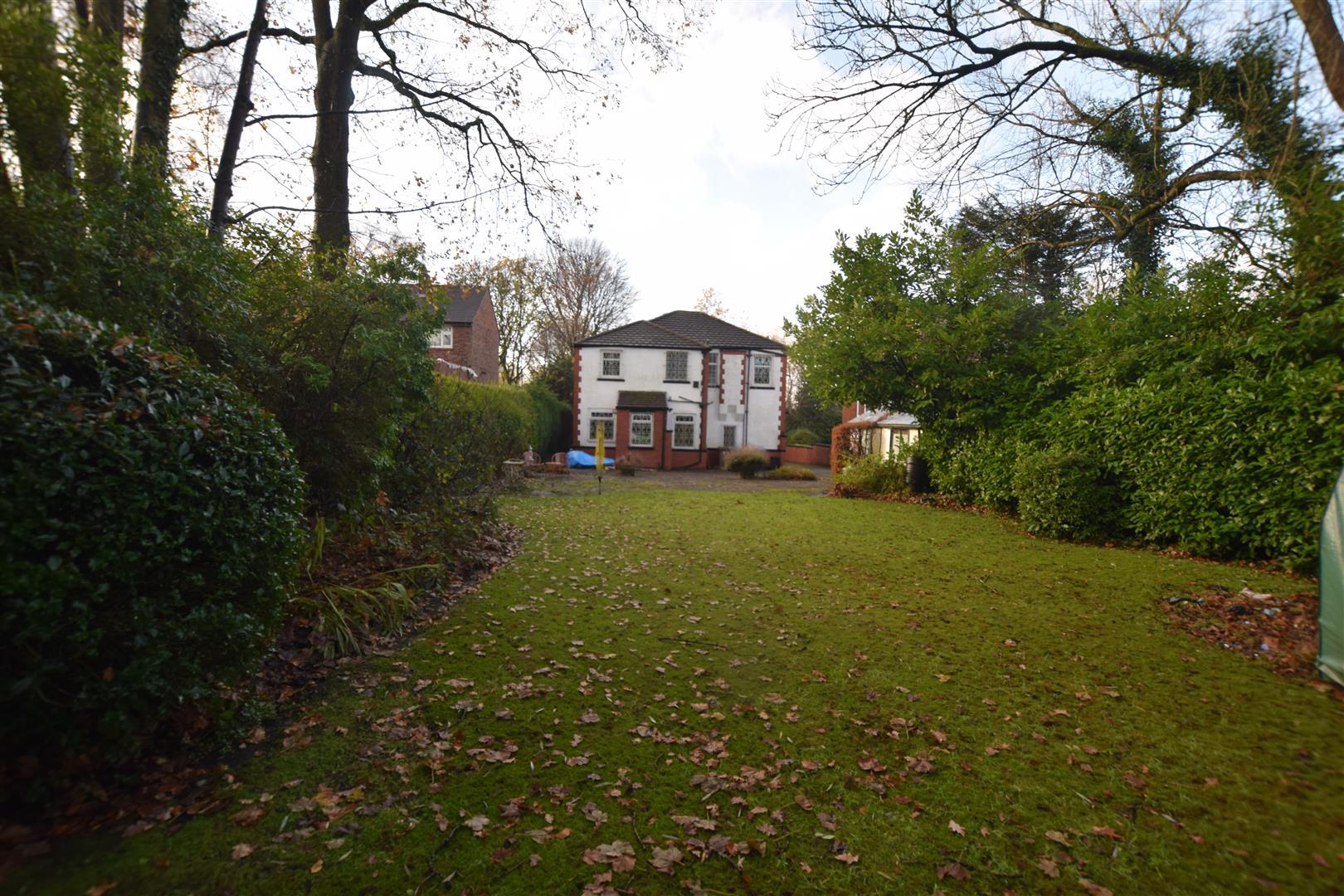 Image 11