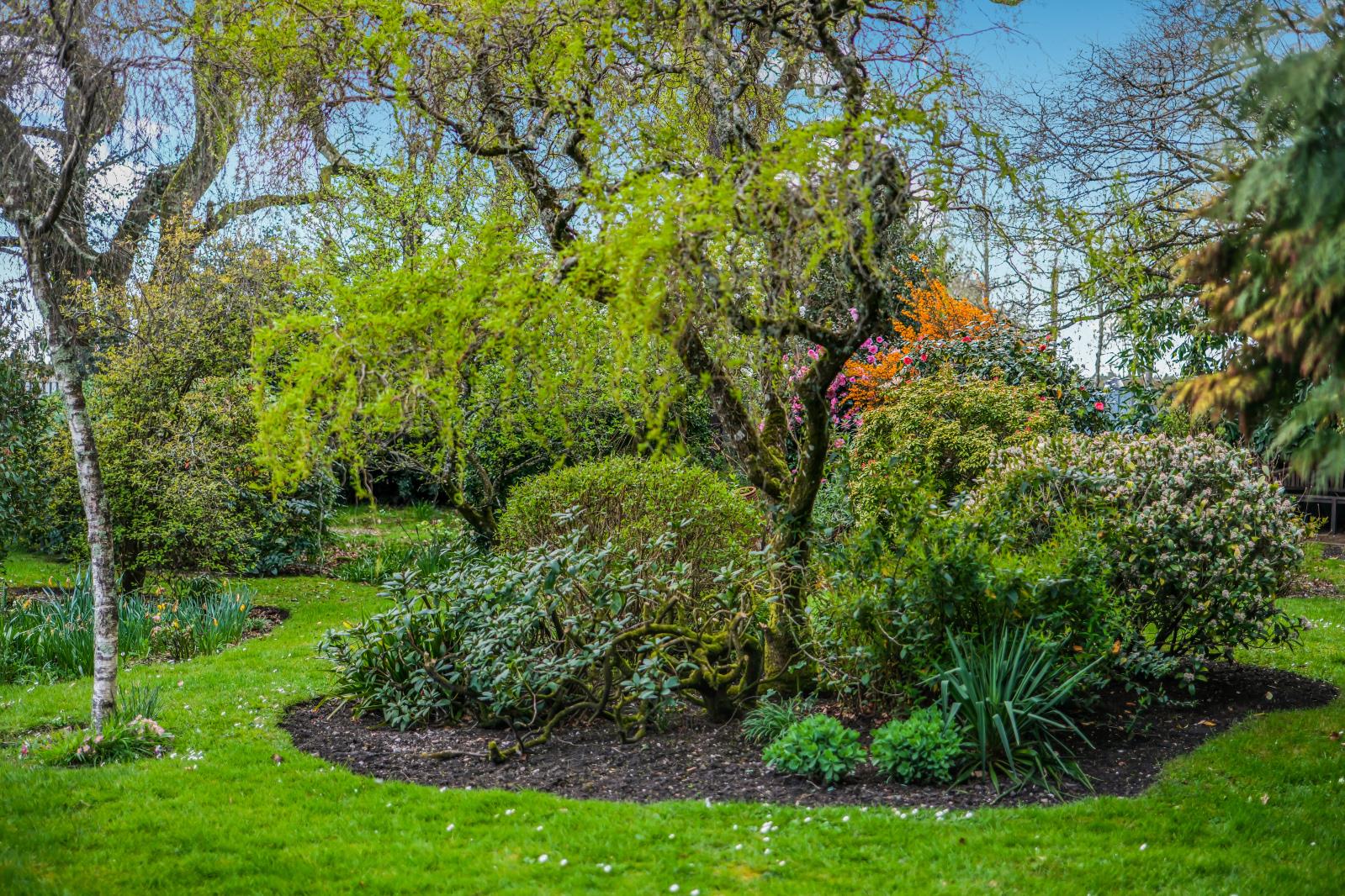 Property Image bb97e40e-3b99-4065-8ff0-83939c2d350a