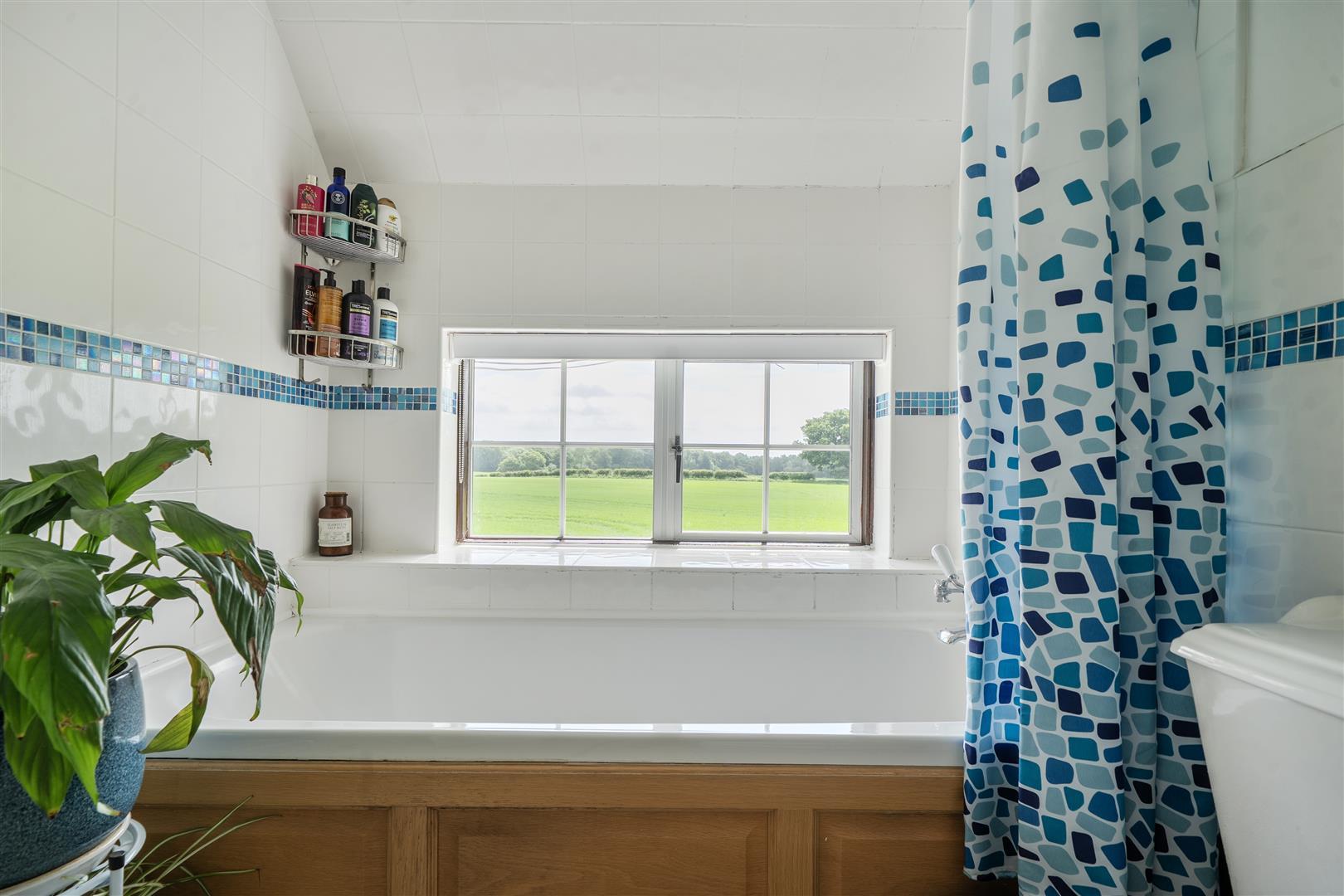 Property Image bbabfcec-f17a-4467-abcc-bfb8b655305c