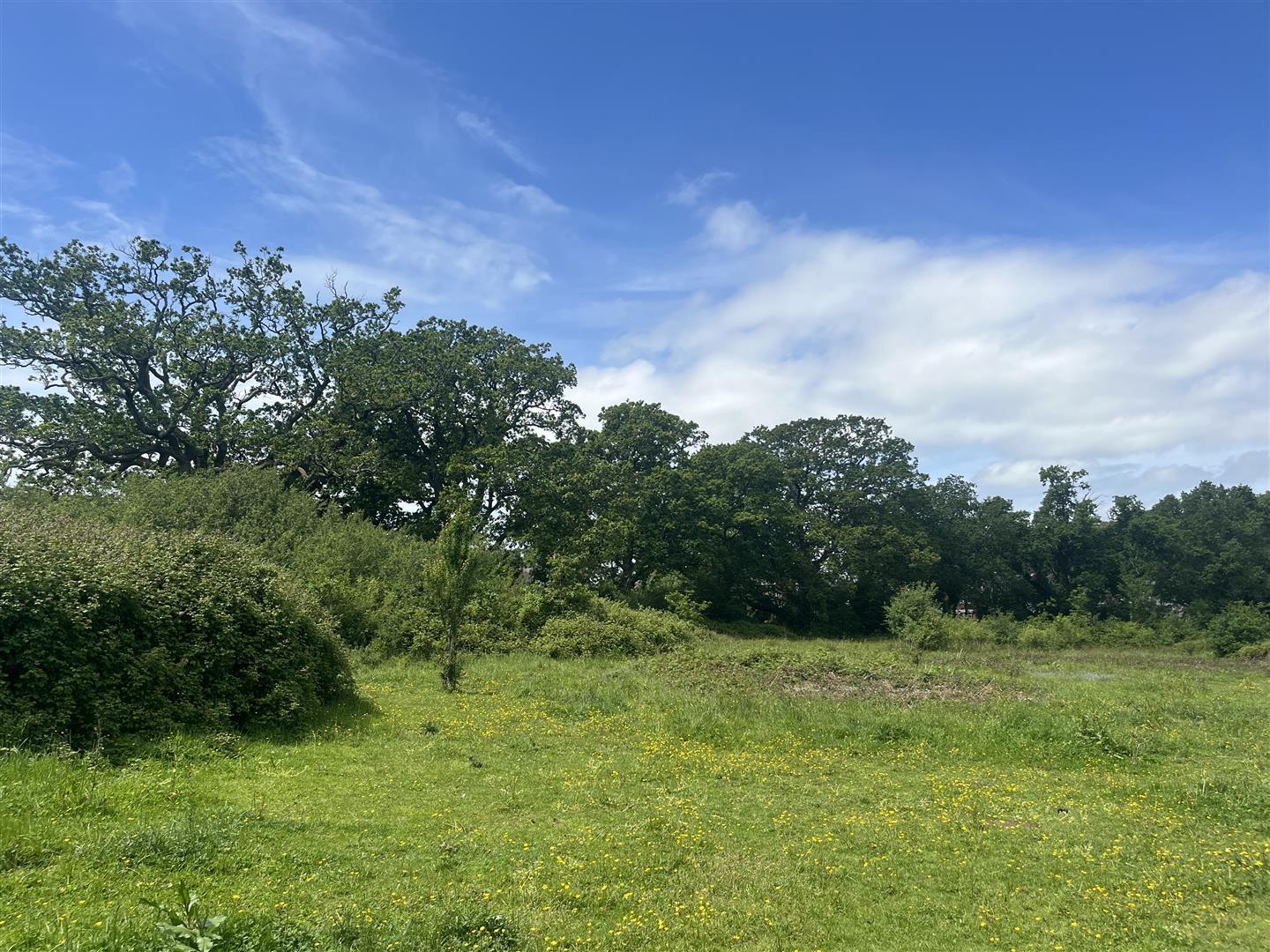 Property Image bbe9b5b7-71d5-4de1-a9d5-0a0fd4deb5d8