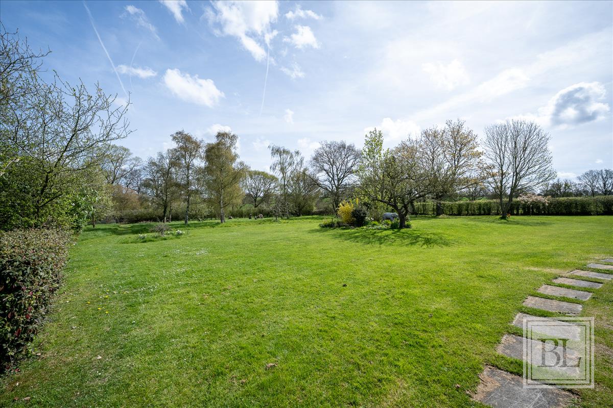 Property Image bc11109e-cfb0-42c0-b18f-d04497d0833d