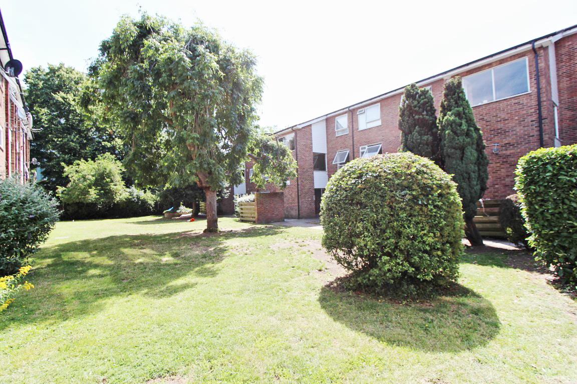 Property Image bc8b1f85-9479-4049-b337-605176a23a0c