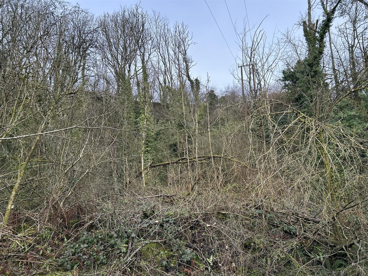 Property Image bc8e7ab0-9a69-4e86-8737-90187710971f