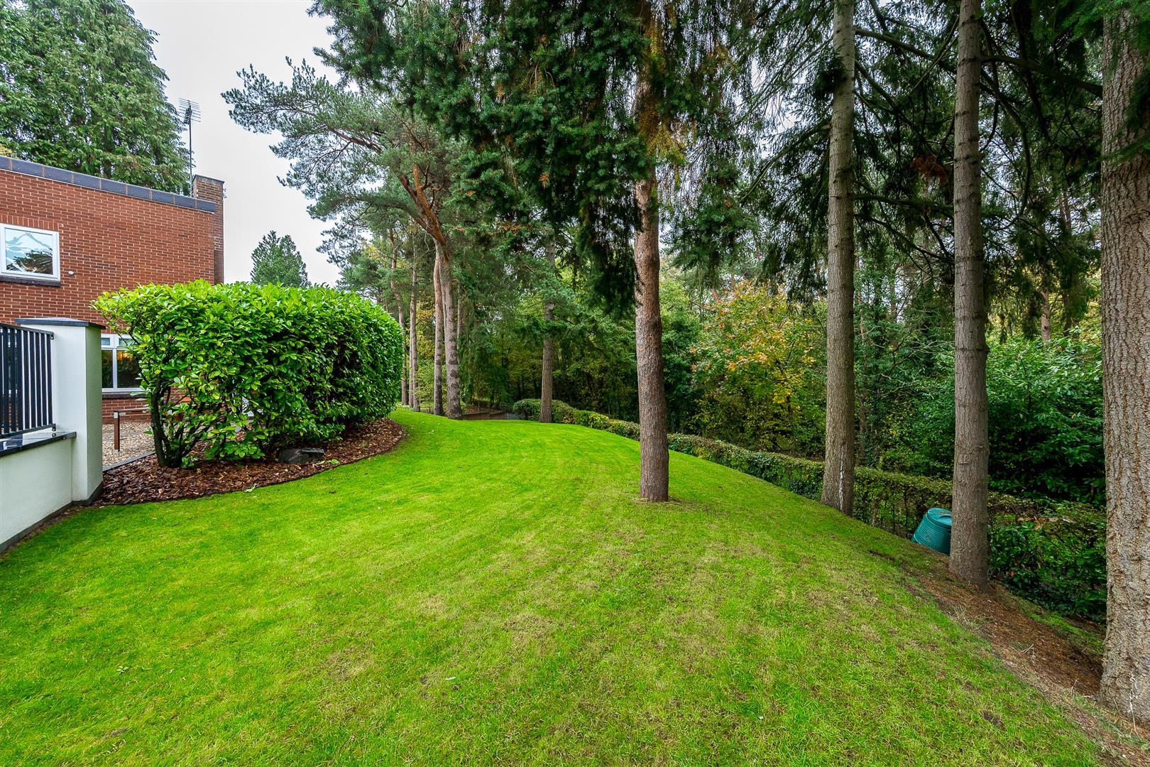 Property Image bce18a7d-aab7-4f26-ab2d-b7e853fcc79e