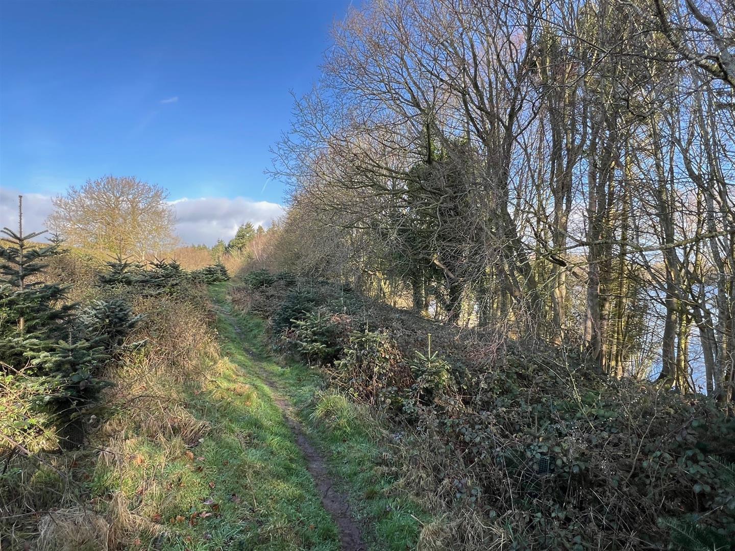 Property Image bd0906fa-8626-4fd1-9a03-7654d7aef2cf