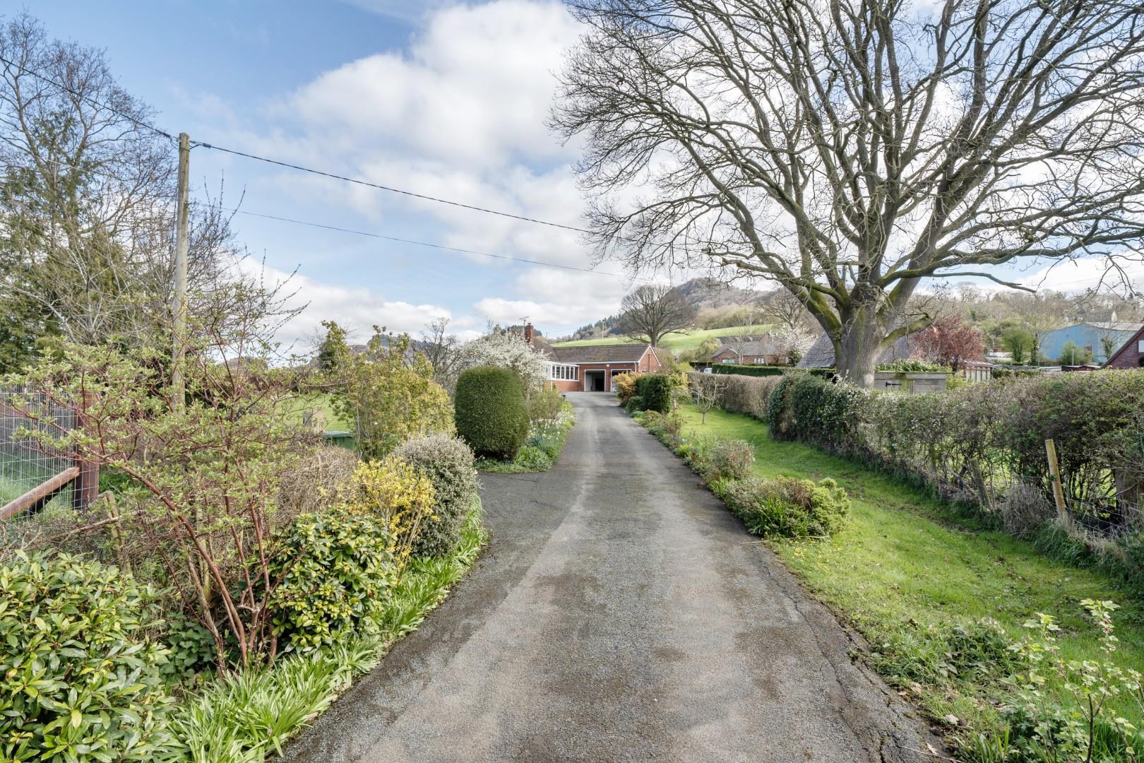 Property Image bd16dbbe-9cf5-4855-a49a-6f88bbd42458