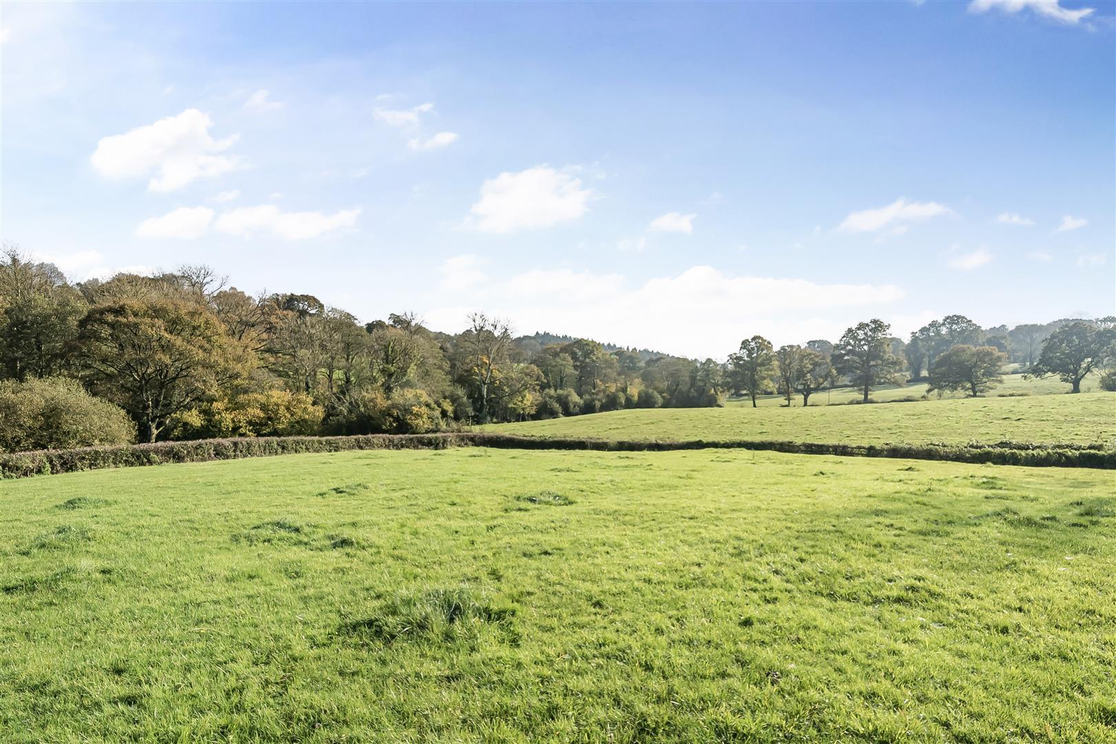 Property Image bd3d008c-df9f-4603-85d1-118839108107