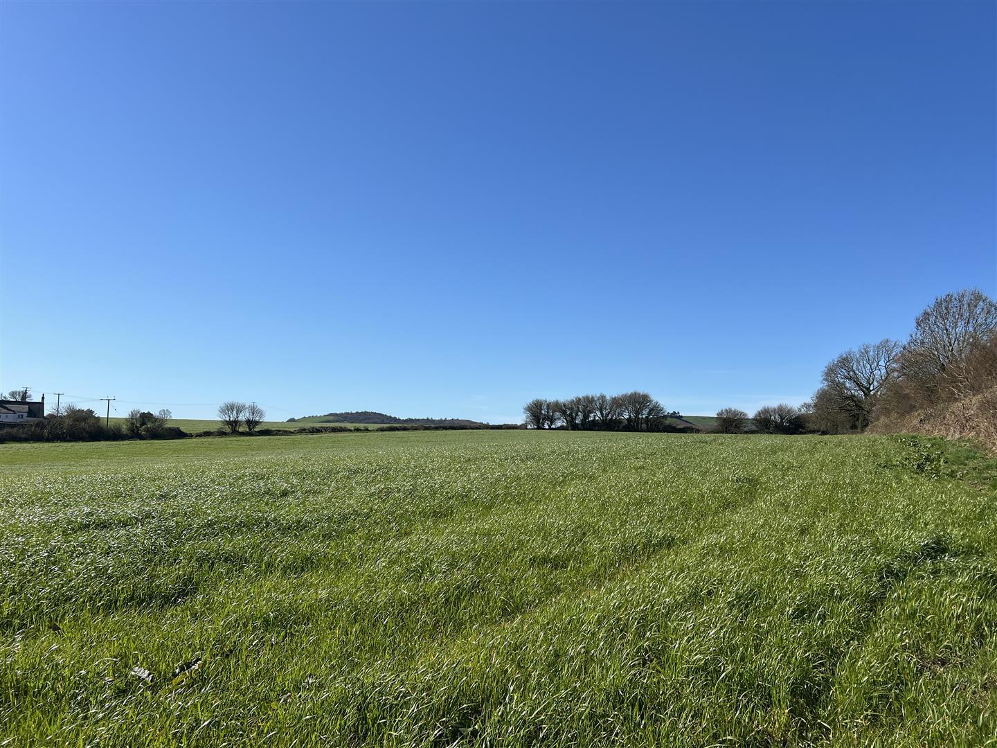 Property Image bd6763f2-4626-4cc8-a580-83e933c00b45