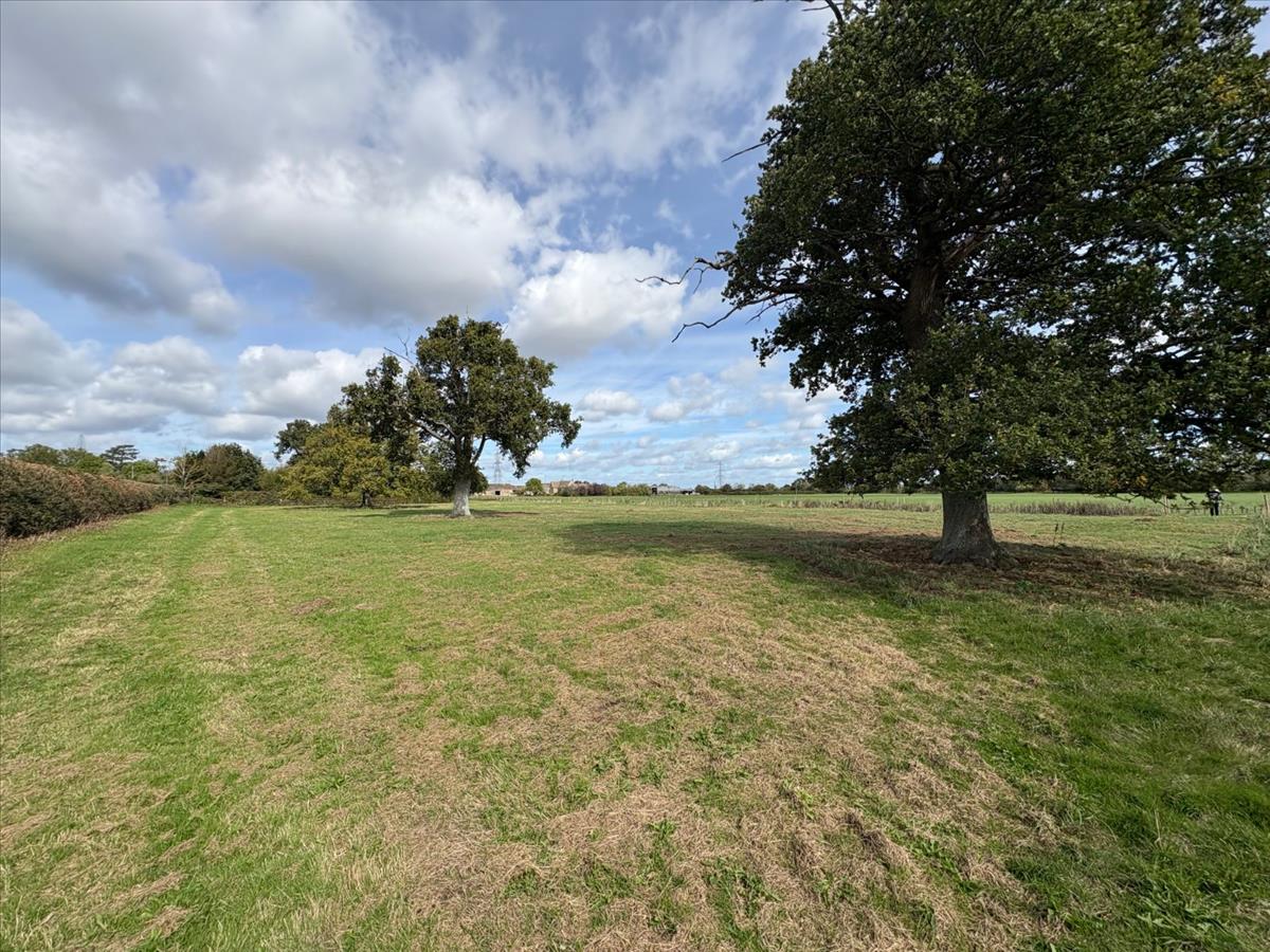 Property Image bd6a5914-f0ac-4cd0-8189-14d92d7aba46