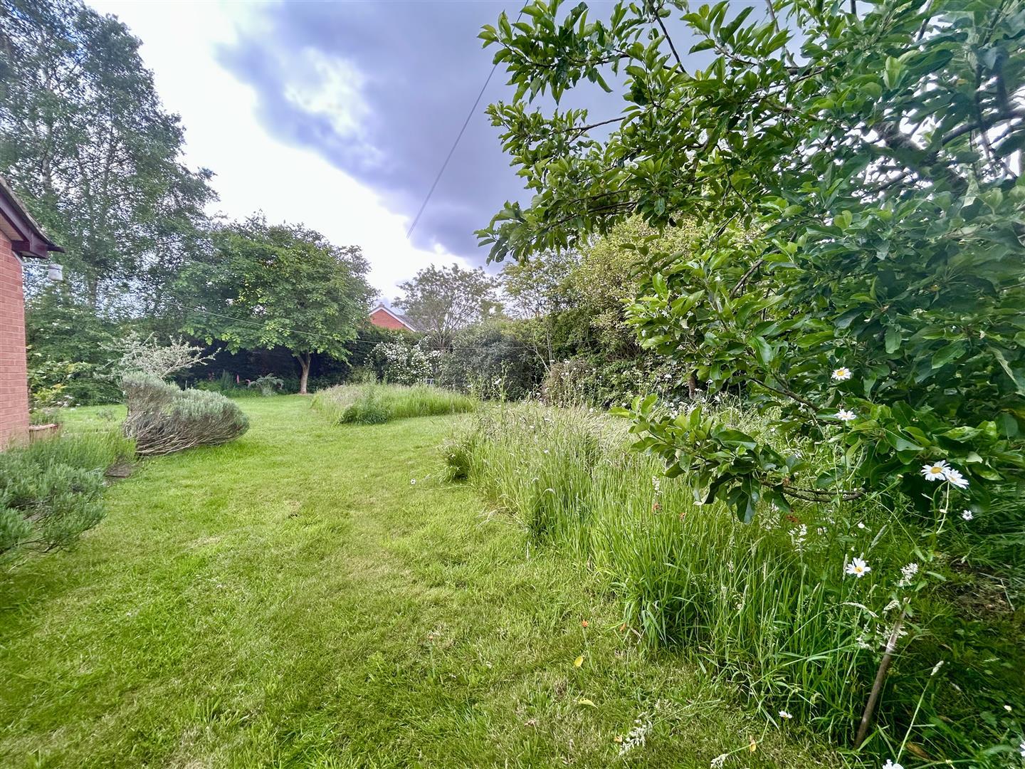 Property Image bd80c588-de66-4d42-b30a-42355006e02b