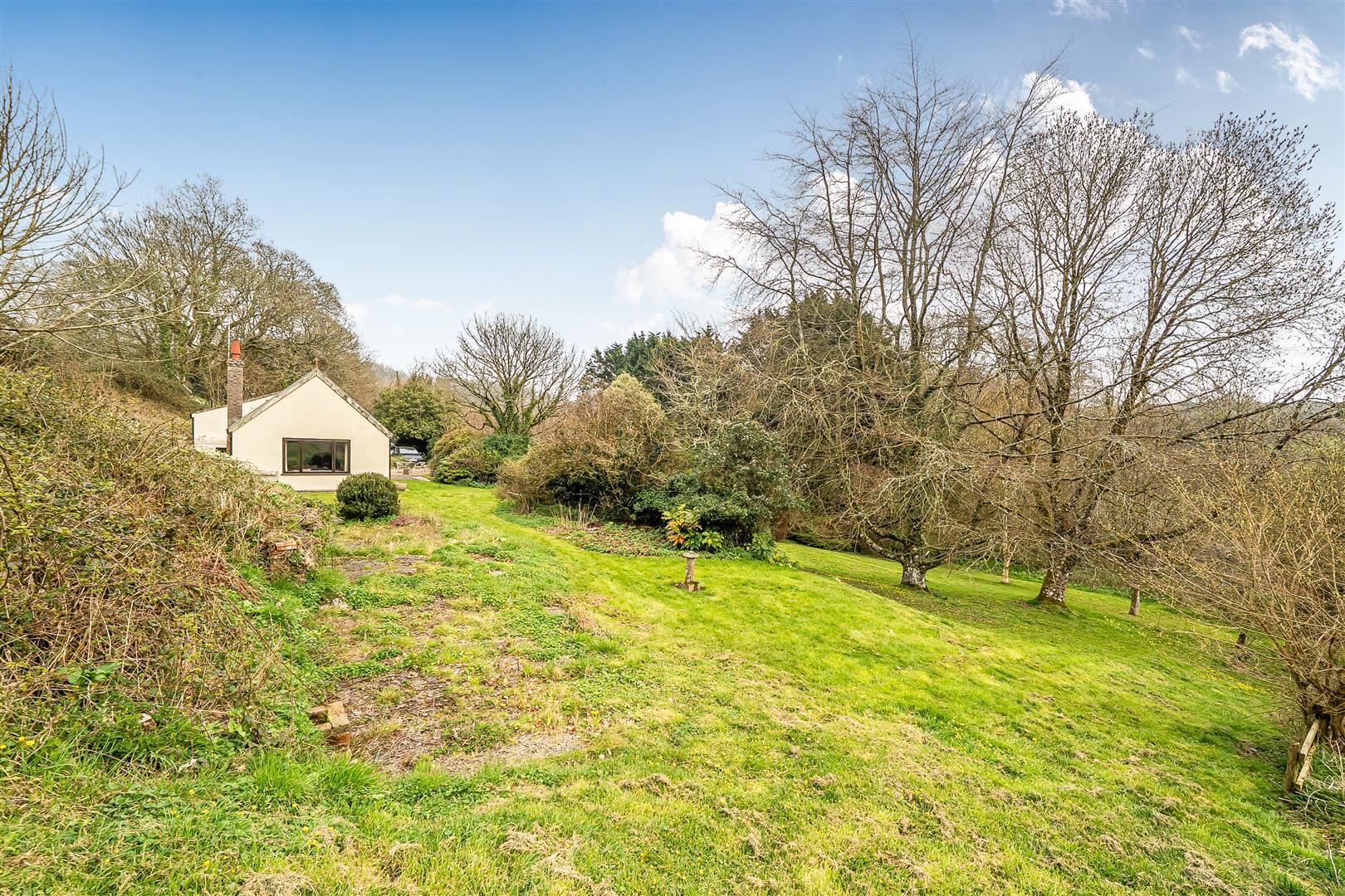 Property Image bda6e283-4147-4fcf-b1d6-67526507b548