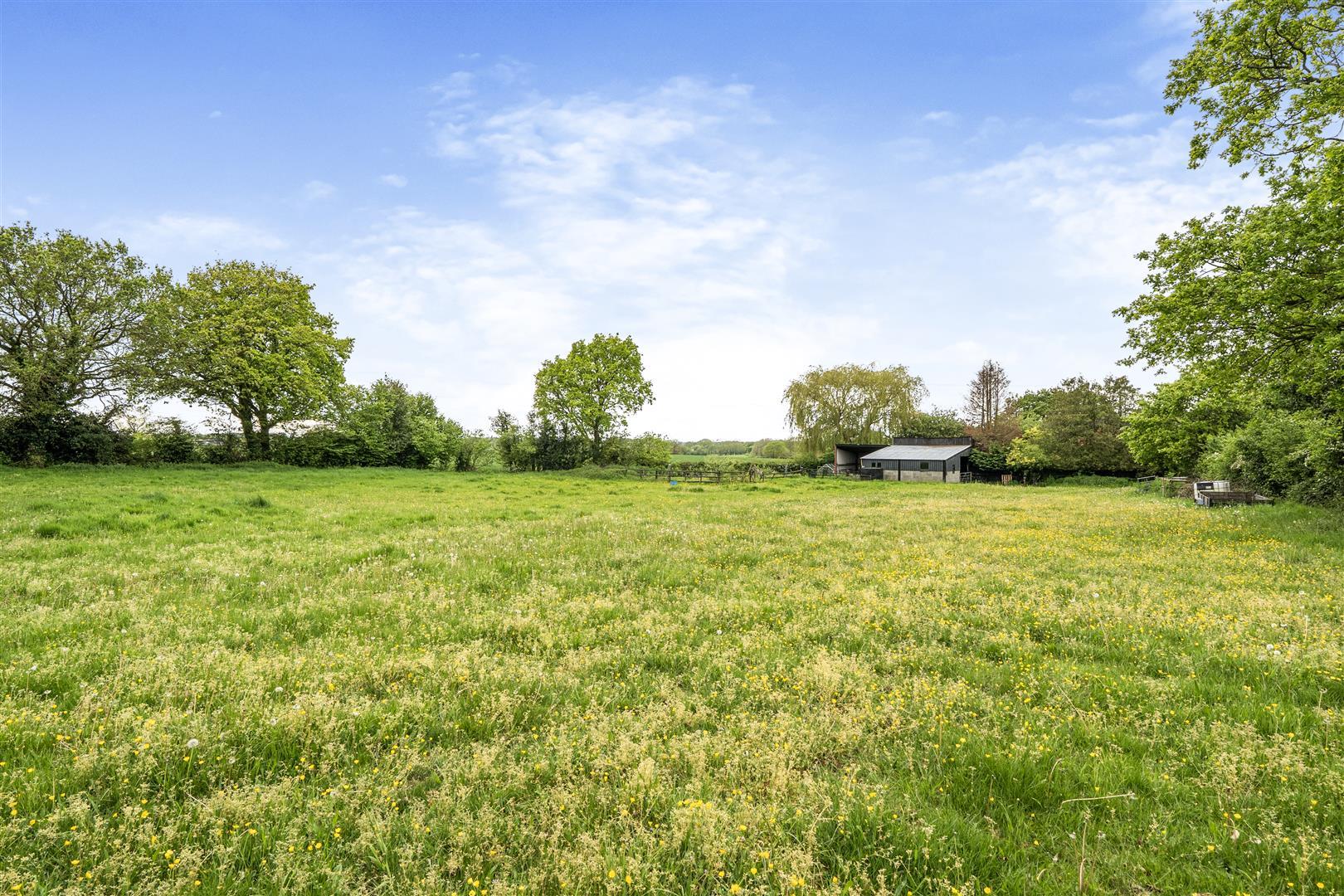 Property Image bdc90c16-46a2-4fc1-b80d-215e14ef4c1d