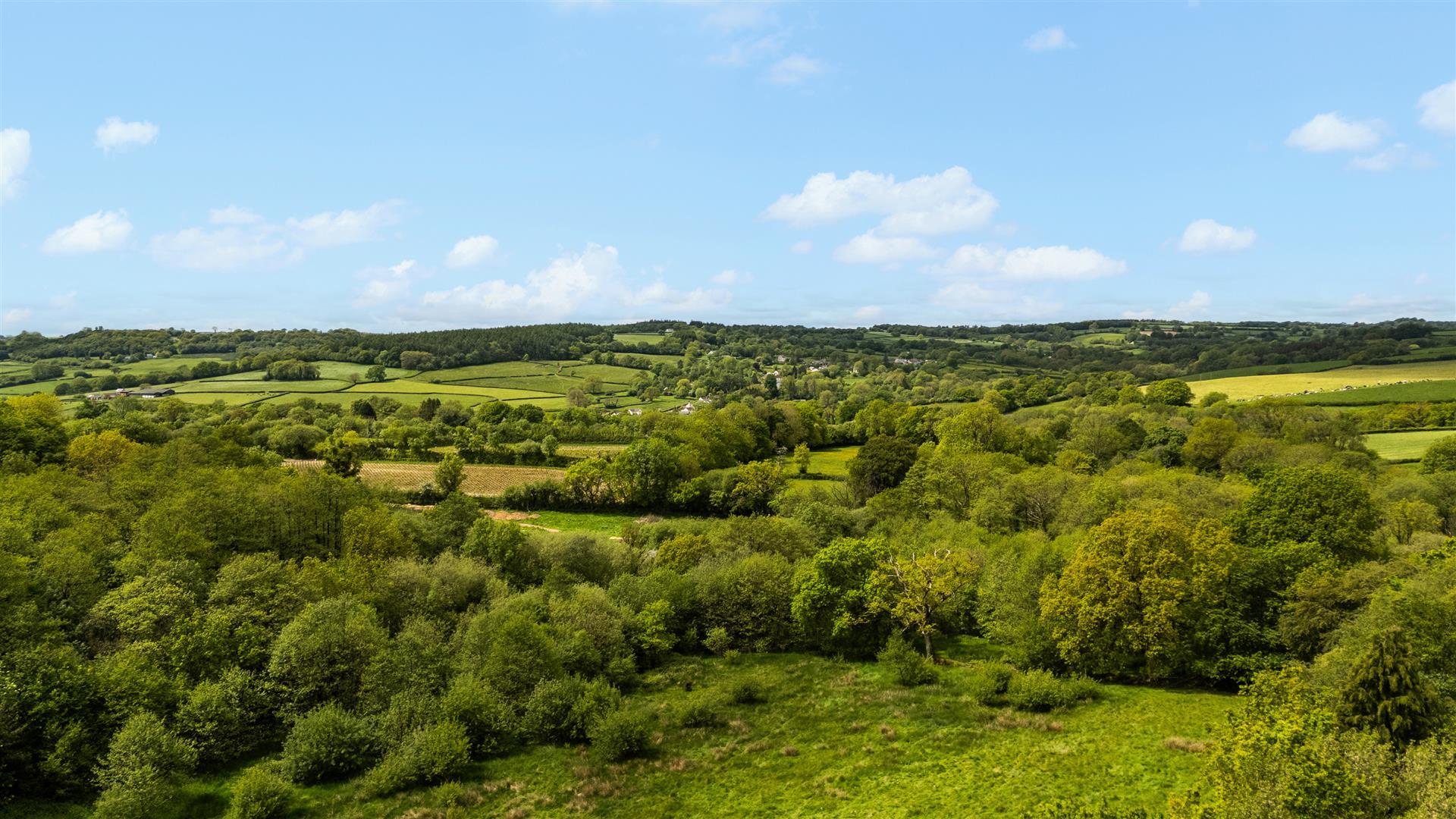 Property Image be3ae1bc-627e-4c3b-92ff-7f43bb44fd45