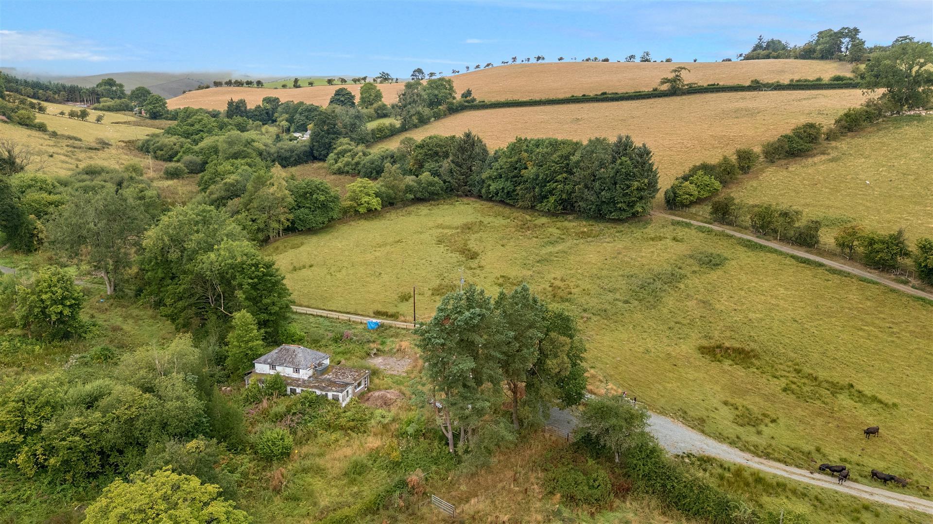 Property Image be6db5af-d7a8-425e-89cd-eeb7a70159f4