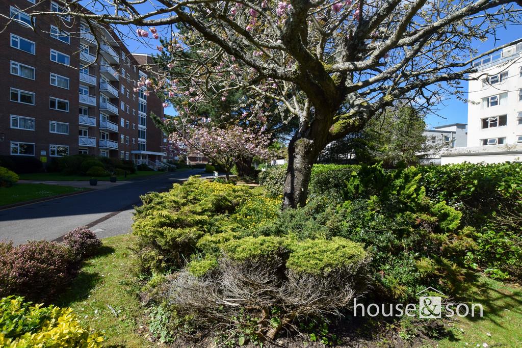 Property Image be73777e-0f8c-4070-9945-16aa20472427