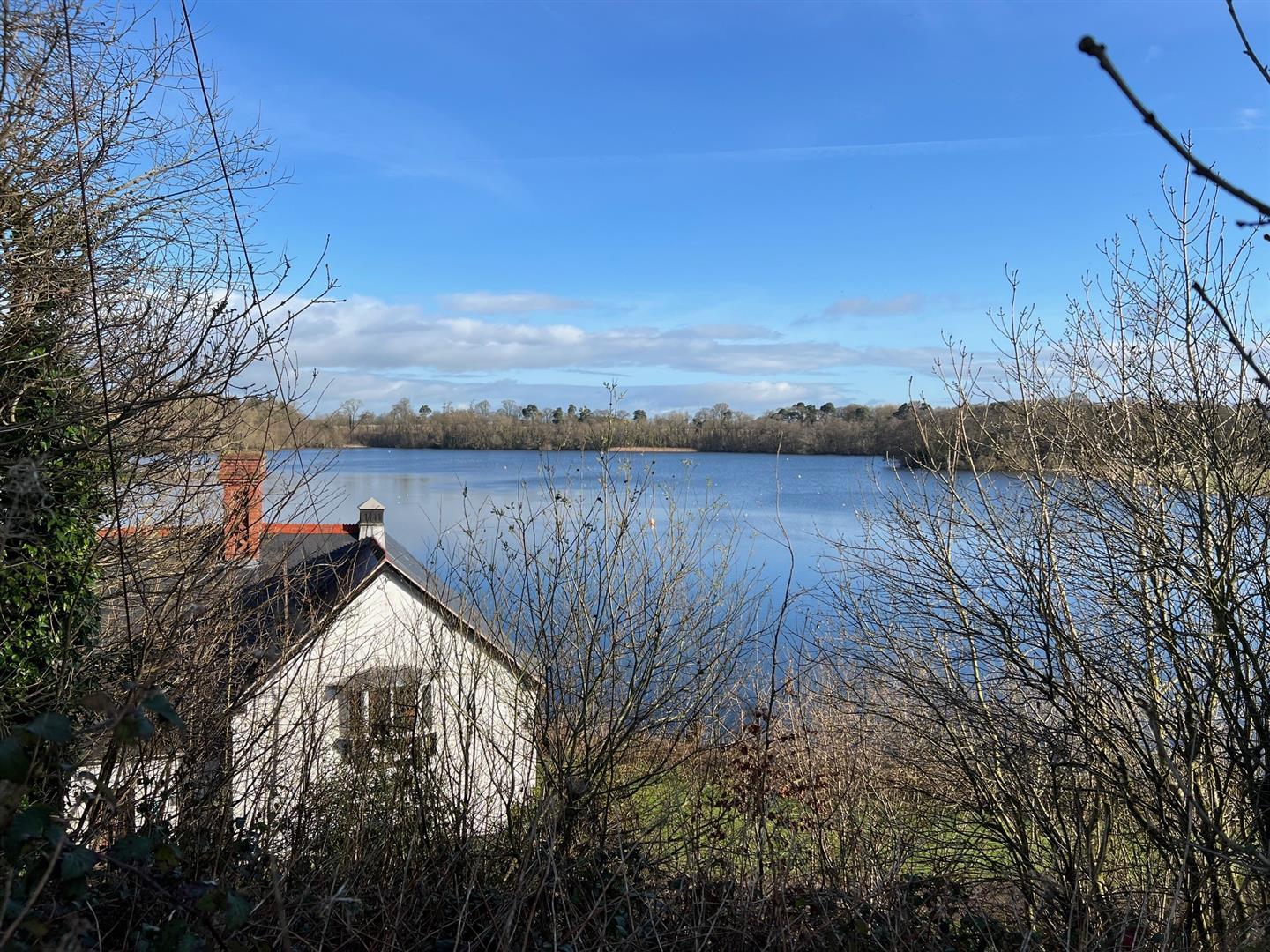 Property Image be738fcb-d7c1-49a8-99c9-2ed7871aeb65