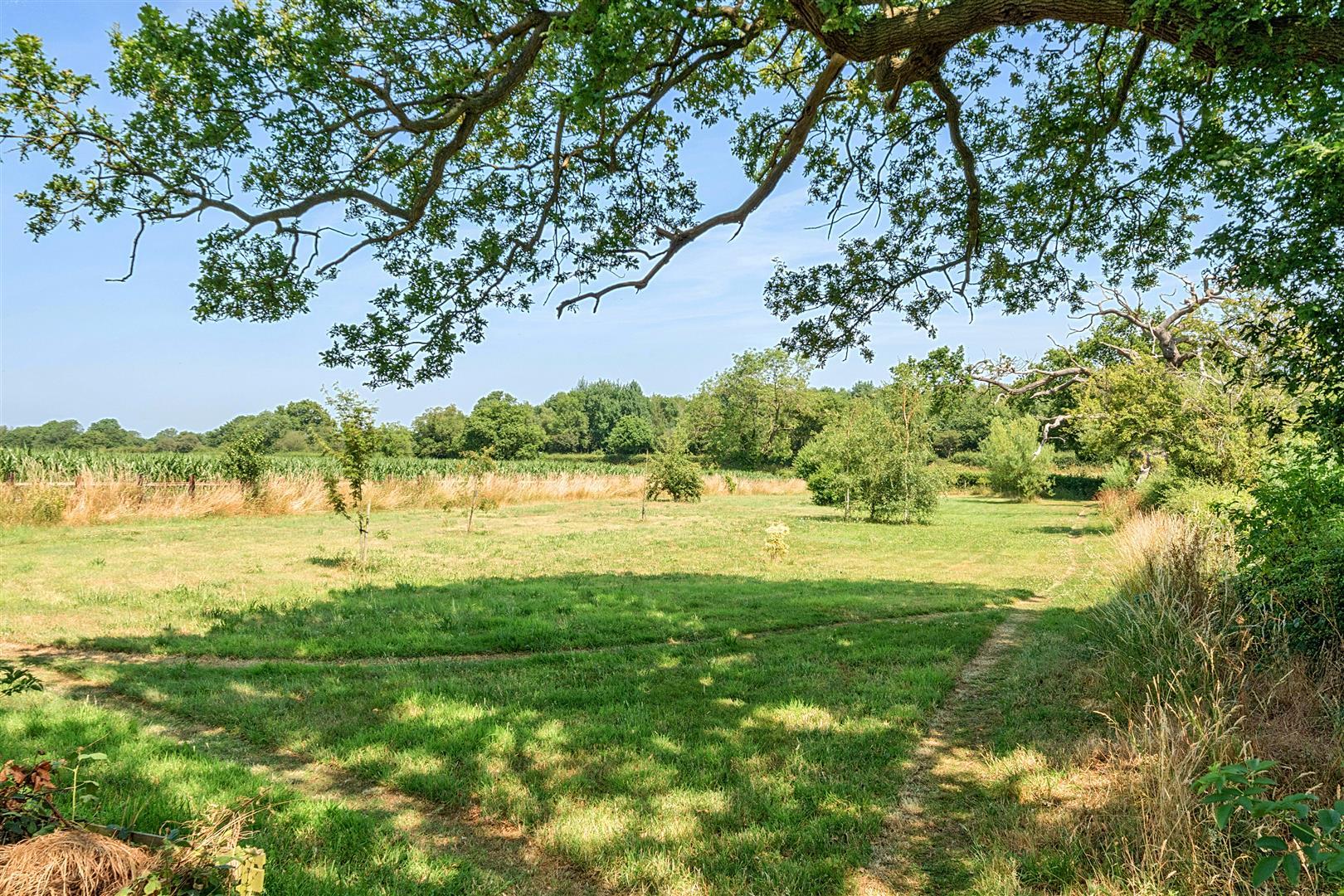 Property Image be9598fe-60f7-44f7-89f7-f8ca6accf0ed