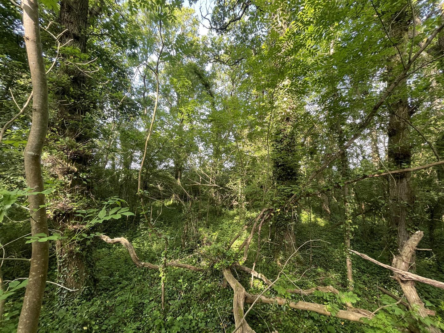 Property Image bec15b0f-4aed-4643-afe1-3e93885e47f2