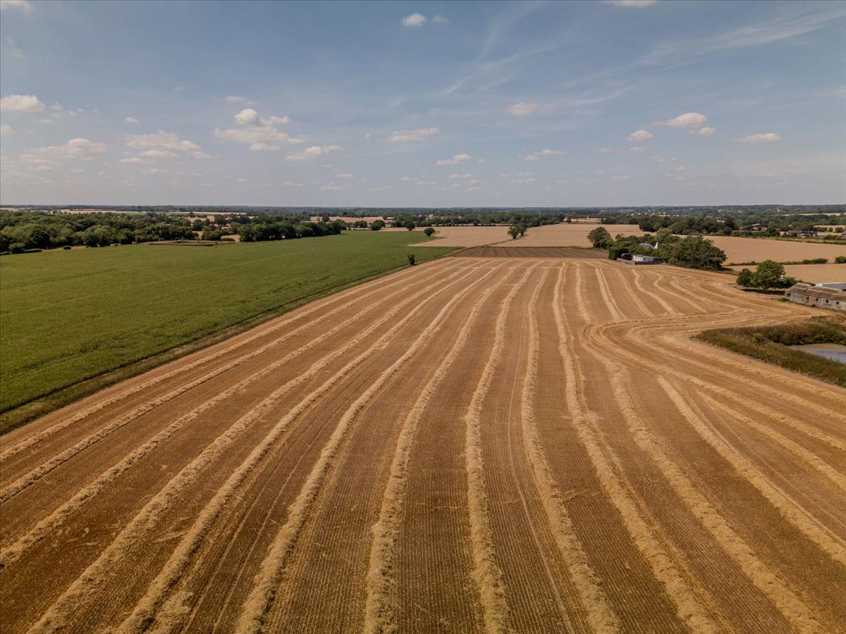Image 37