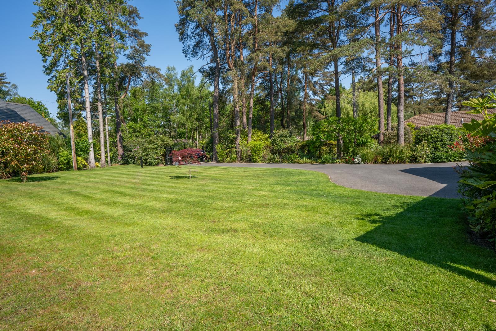 Property Image bf05af85-9ebd-4c68-ba1d-e6ff63ede485