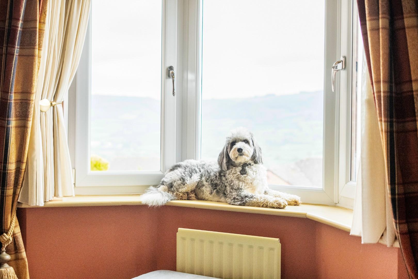 Property Image bf47ee2a-59b8-475a-b943-f2c78ac0777f