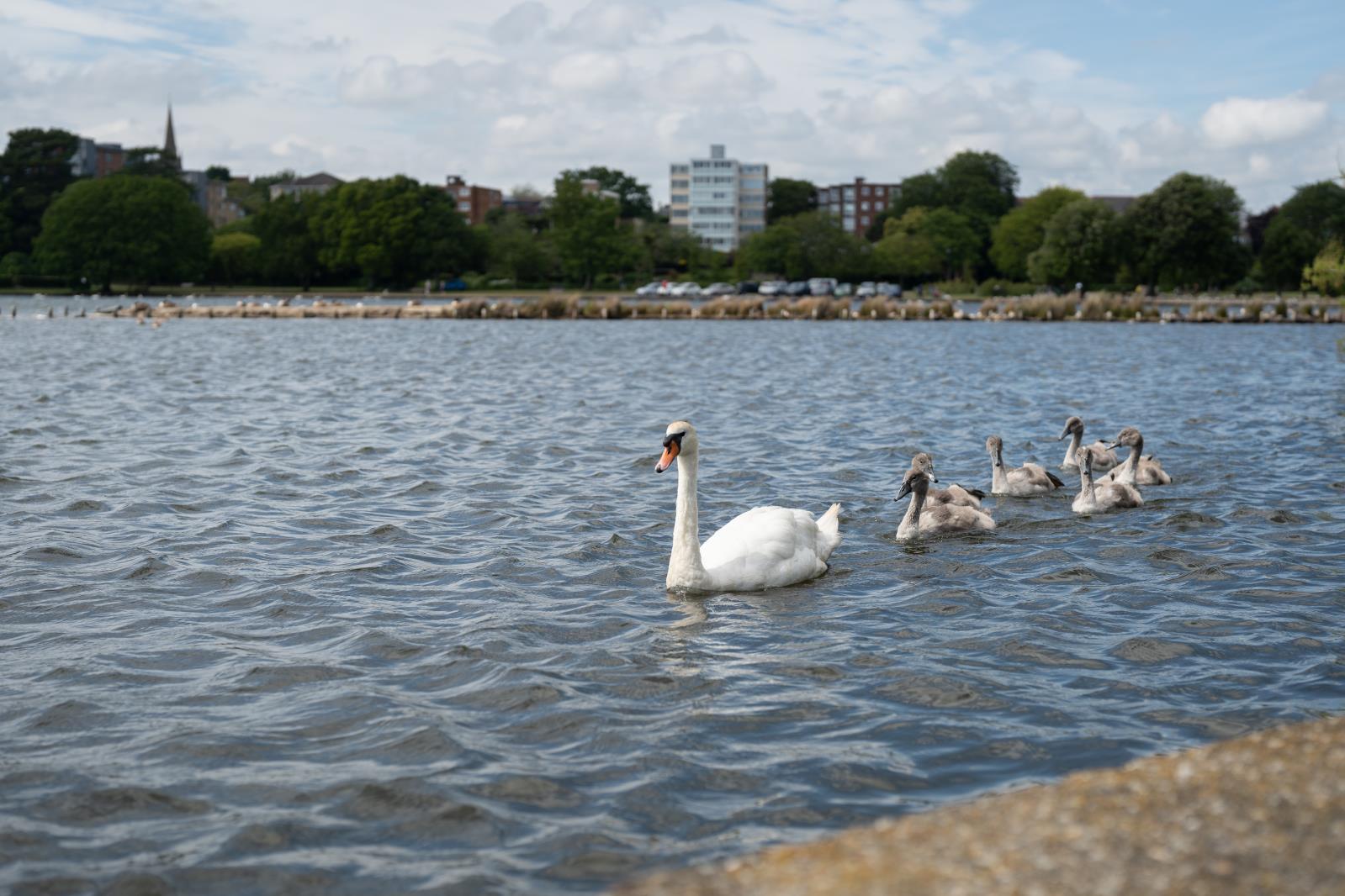 Property Image bf5fcce4-5b6e-43cc-8774-6da25410e445
