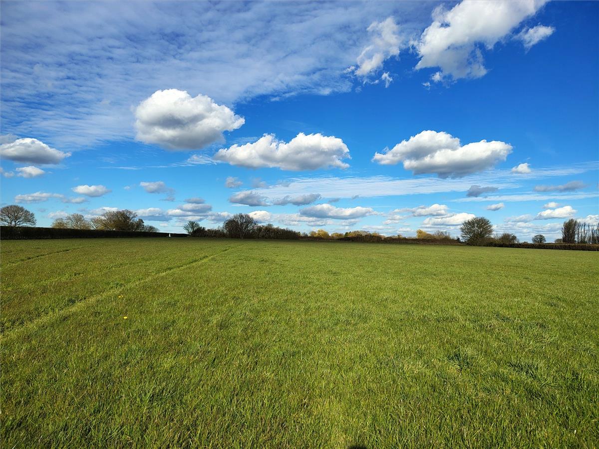 Property Image bf91c975-809d-4d10-8264-1779c97acbb7