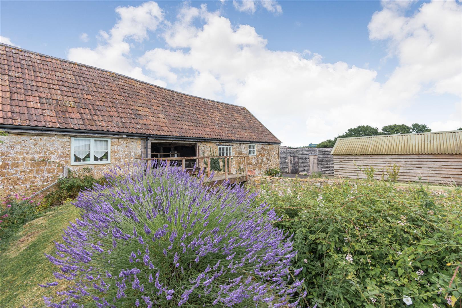 Property Image bf941c84-1d83-4bd5-b854-c1bdac674bd8