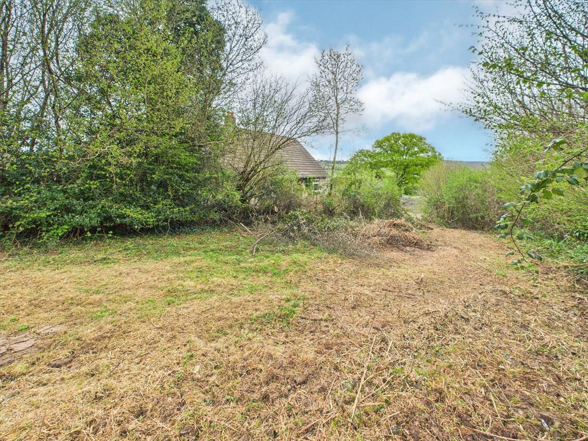 Property Image bfab42ca-f725-4c3c-baaf-82cc4c500007