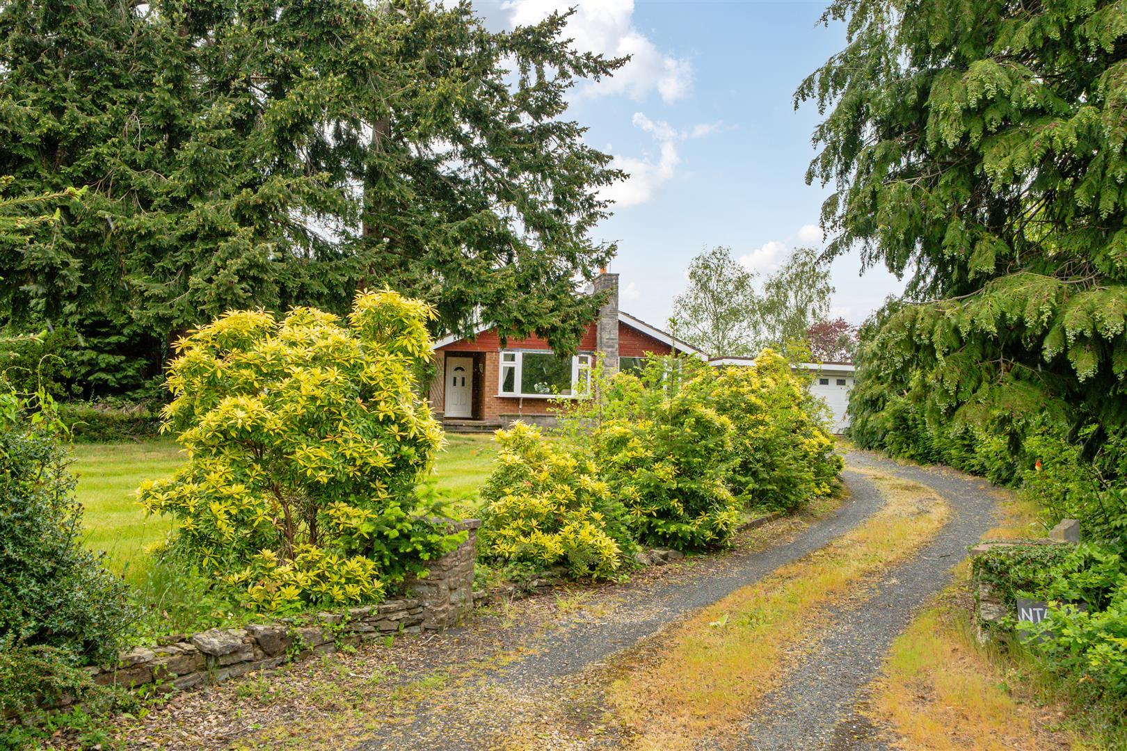 Property Image bfc1a813-01b1-4e3e-bce5-06bac661bfb4