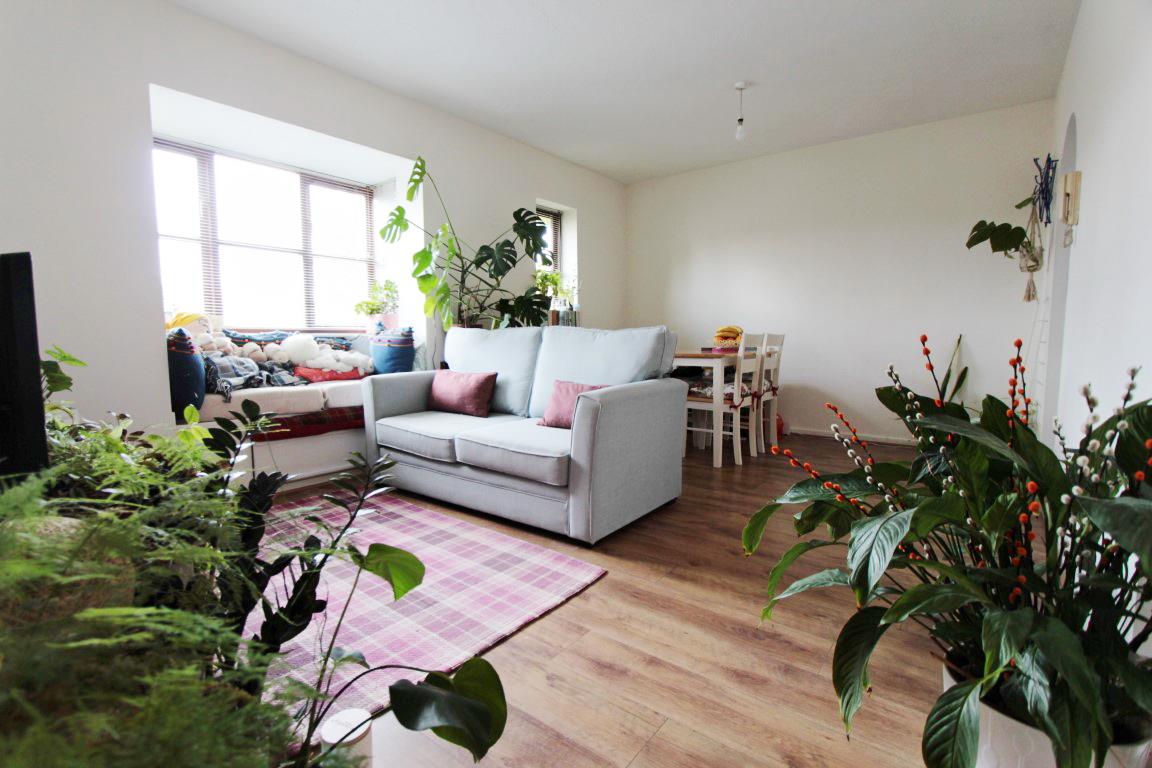 Property Image bfc55741-a90b-4bf8-856e-a3a15310e3e1