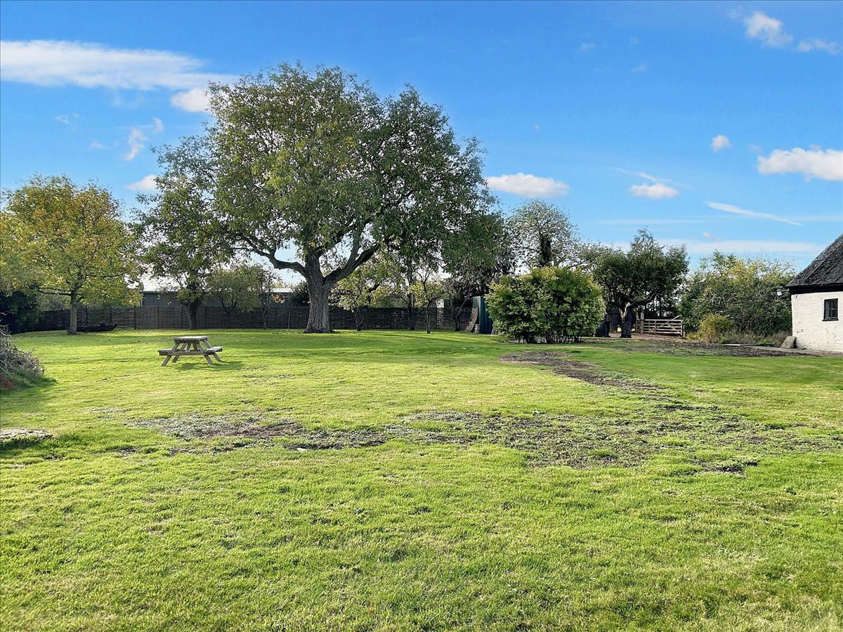 Property Image bfe4b9c1-f932-4f8c-b3e8-2fe8200dae1b