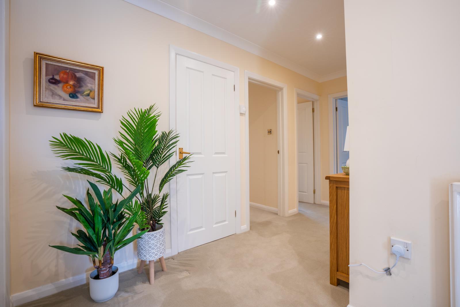 Property Image bfe85d0c-447d-4b78-a582-ccccdfbdf367