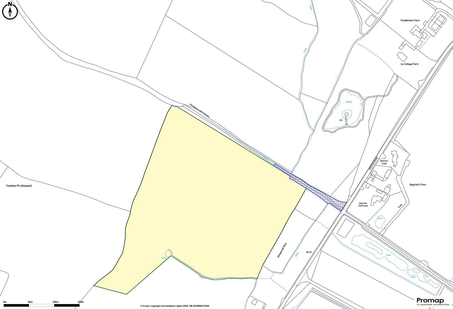 Property Image c00e0552-810c-47a5-963a-2ddc5150bd81