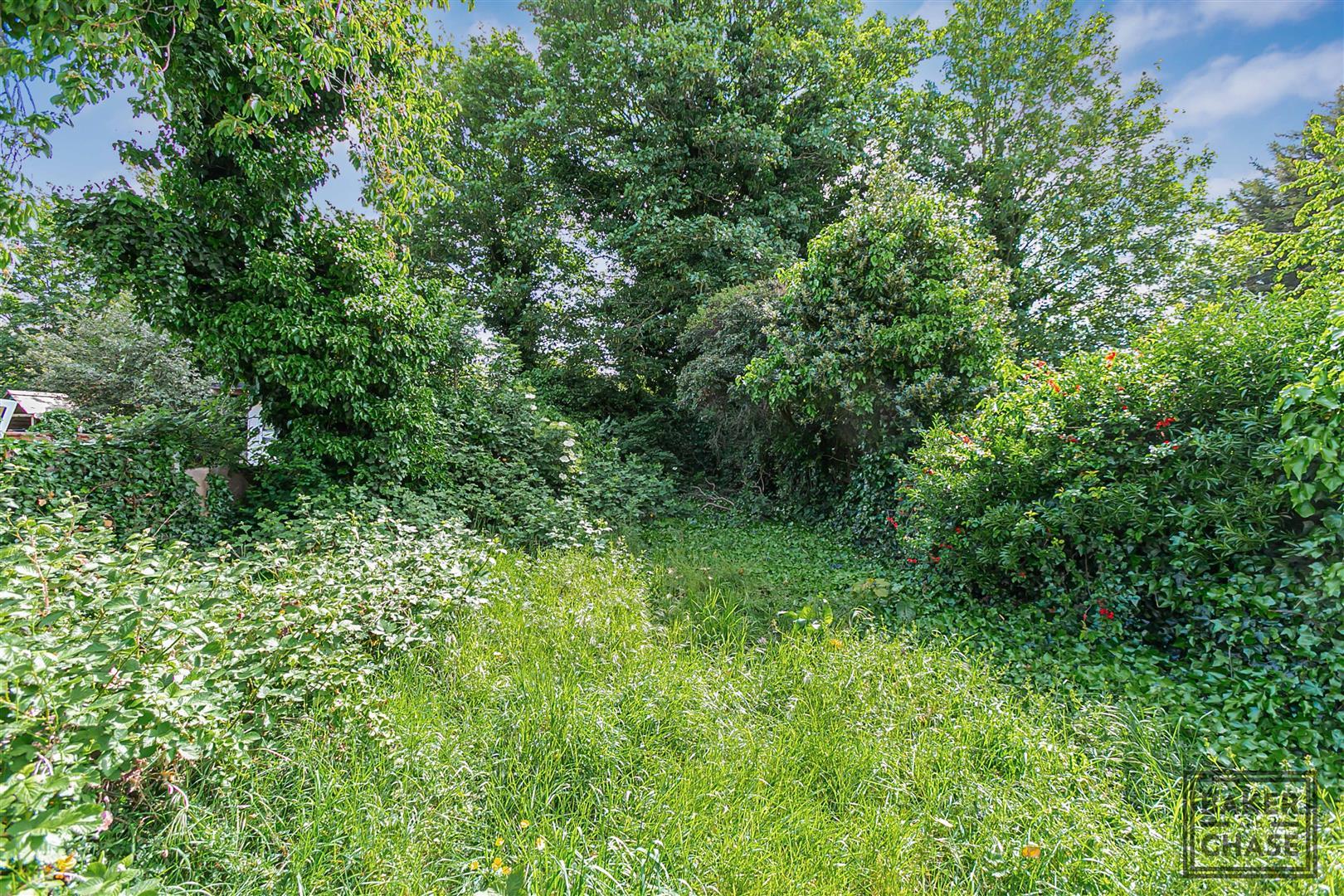 Property Image c0182e6a-c337-477b-9b7c-112f6ba8d742