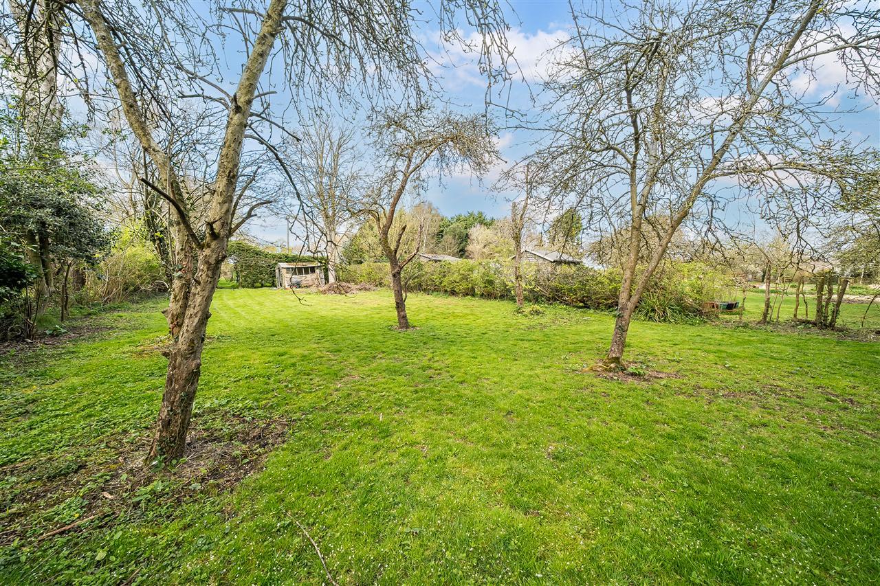 Property Image c099843b-c235-4a2c-abbc-61de70362018