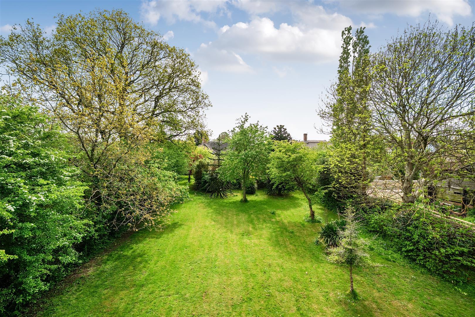 Property Image c09eb65f-bdf9-4d79-beea-54ce551e2d71