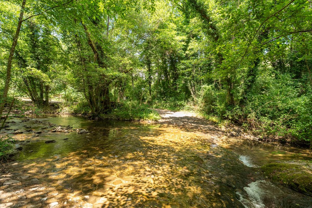 Property Image c0a13e53-8aa8-473e-bfdc-1ff2107a659e