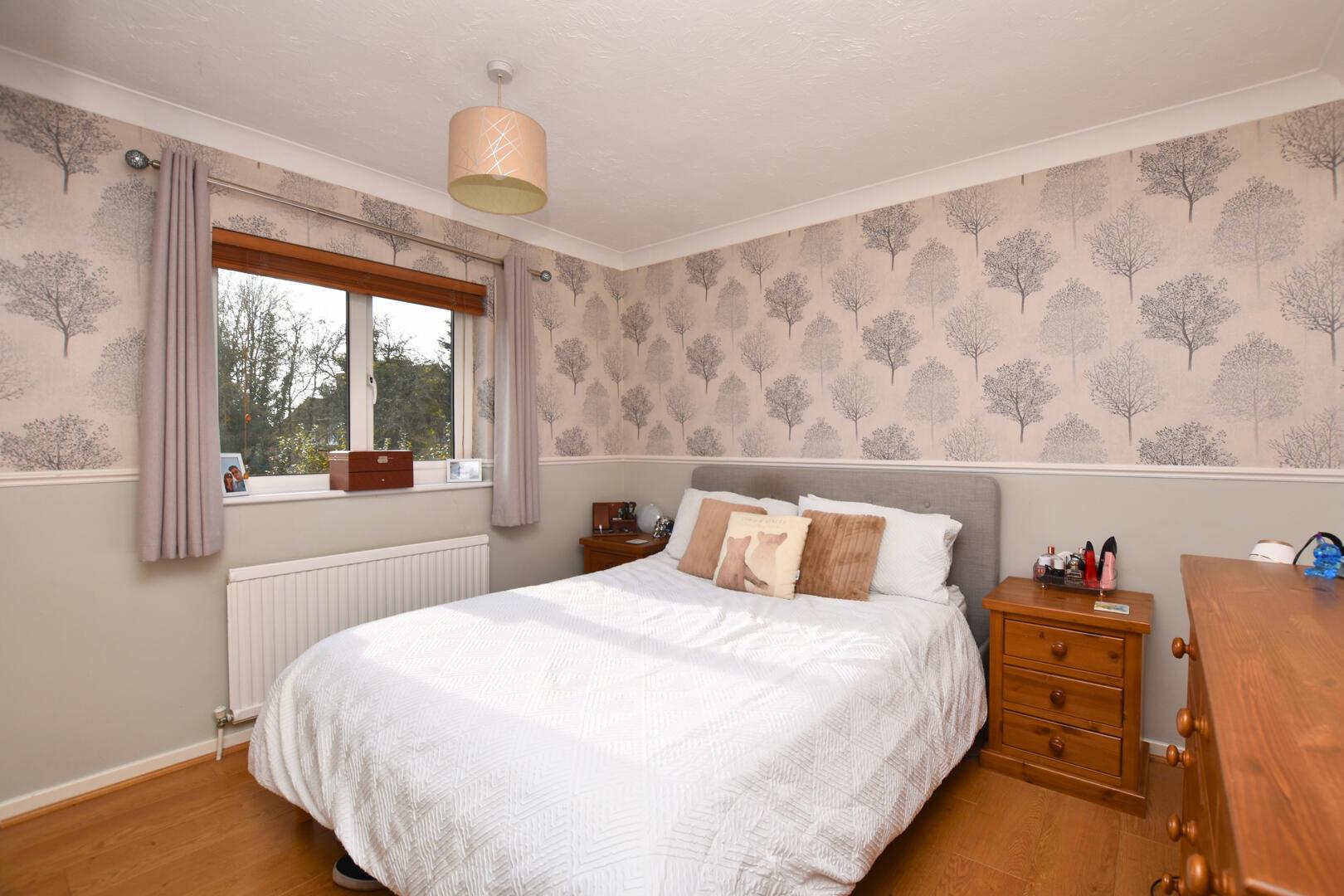 Property Image c0bb67b5-8d73-4069-a73b-15259baf3041