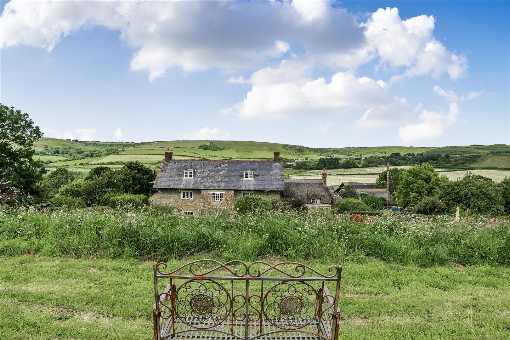 Image 21
